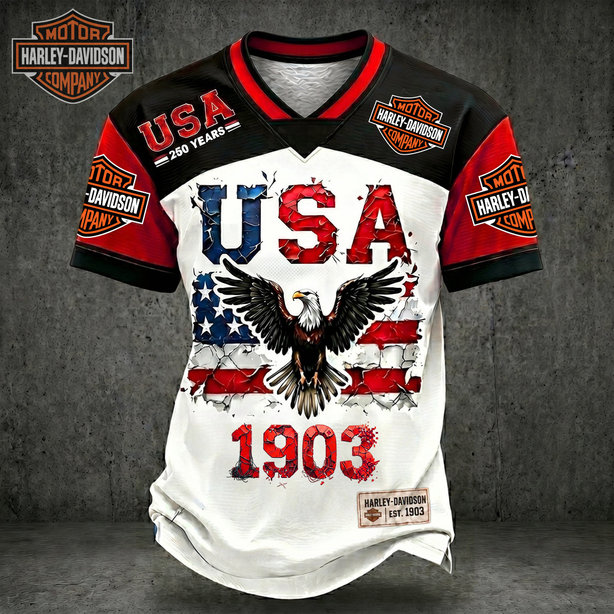 PREMIUM HAR X LUXURY V-Neck Patchwork 250 Years Of T- Shirt NDT NHM 170626