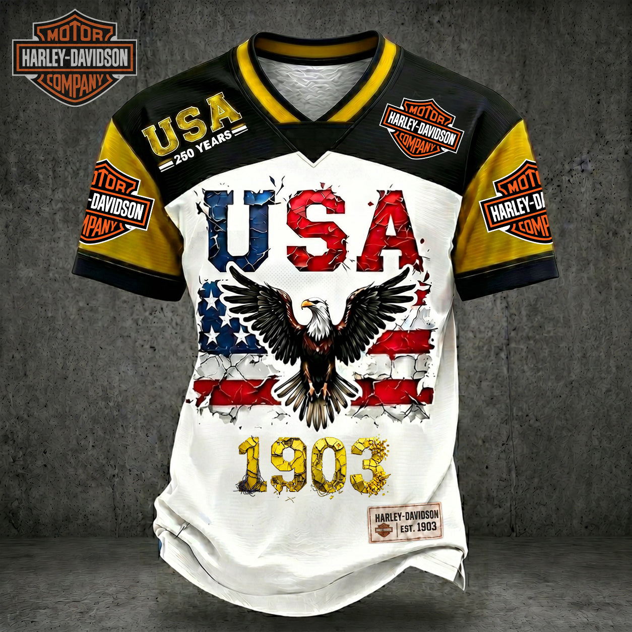 PREMIUM HAR X LUXURY V-Neck Patchwork 250 Years Of T- Shirt NDT NHM 170626